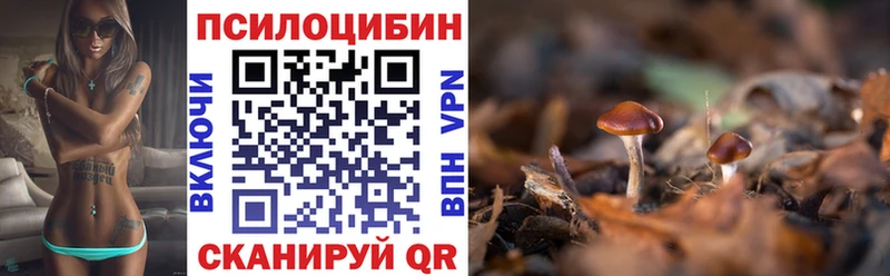 Псилоцибиновые грибы Magic Shrooms  где купить   Губкин 