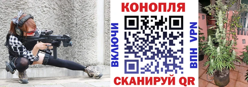 хочу наркоту  Губкин  Канабис планчик 
